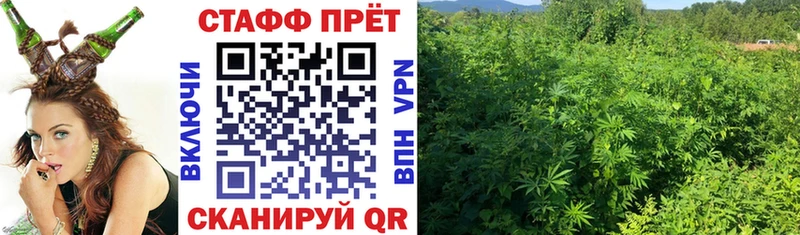 APVP Невинномысск