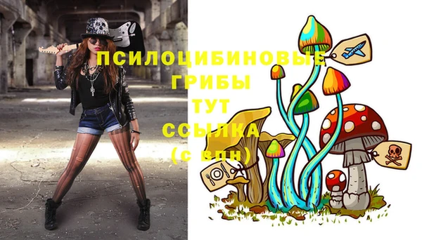 spice Армянск