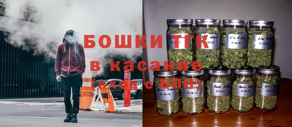 спайс Арсеньев
