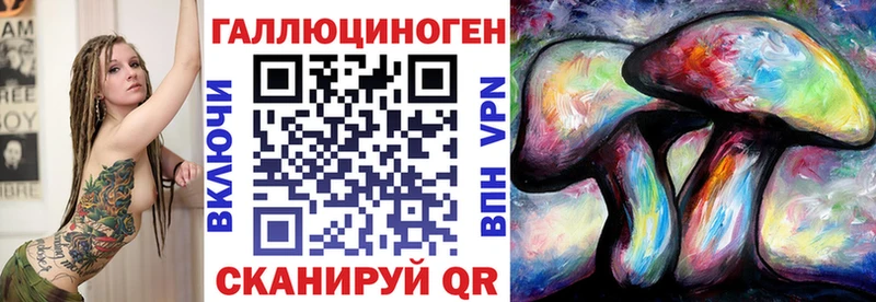 Галлюциногенные грибы Psilocybe  Невинномысск 
