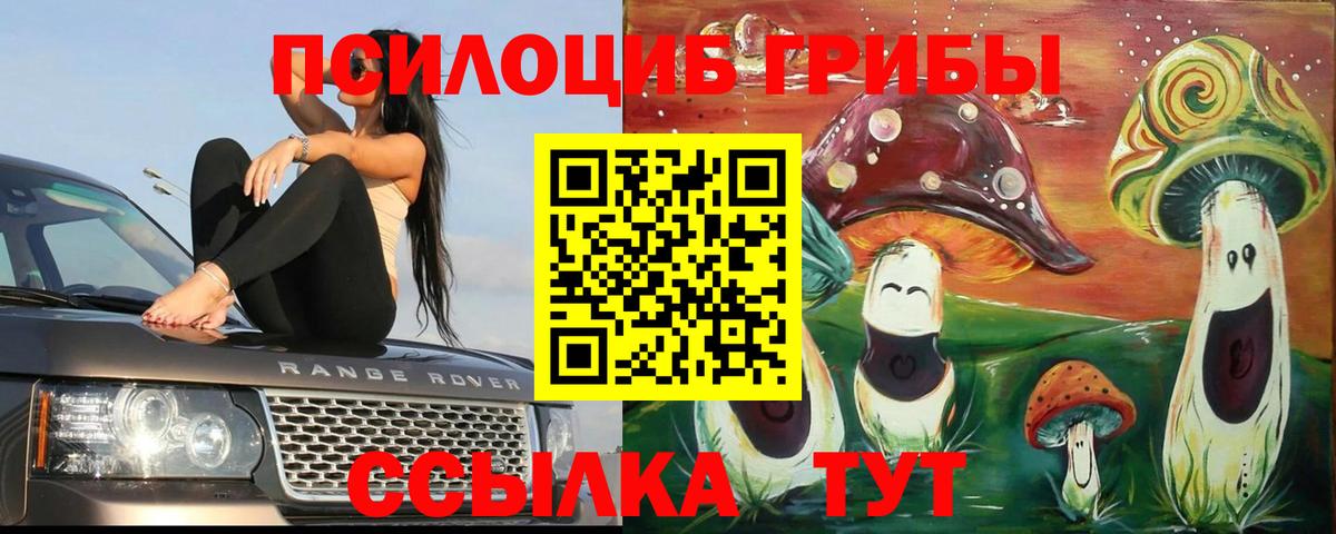 Псилоцибиновые грибы GOLDEN TEACHER  Псилоцибиновые грибы MAGIC MUSHROOMS  Невинномысск  Вход с VPN 