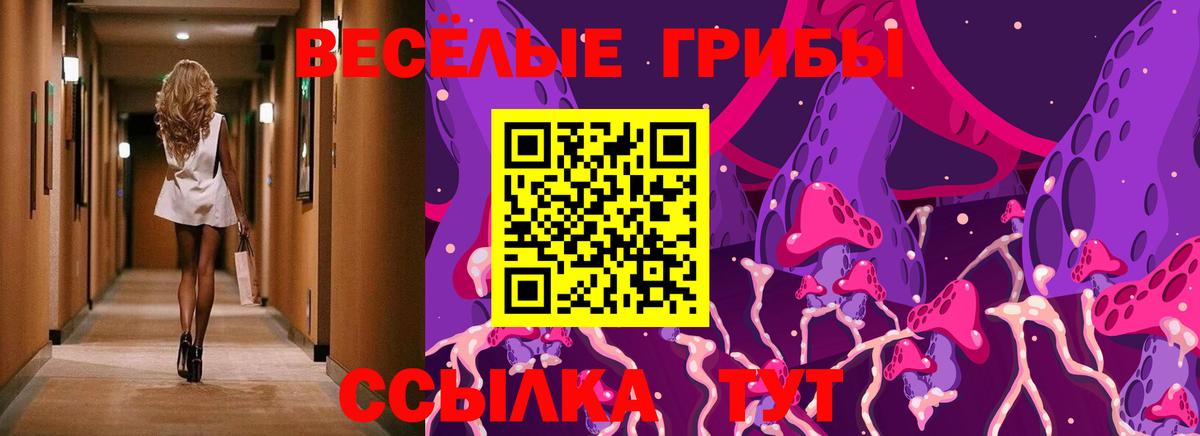 Галлюциногенные грибы мицелий Невинномысск