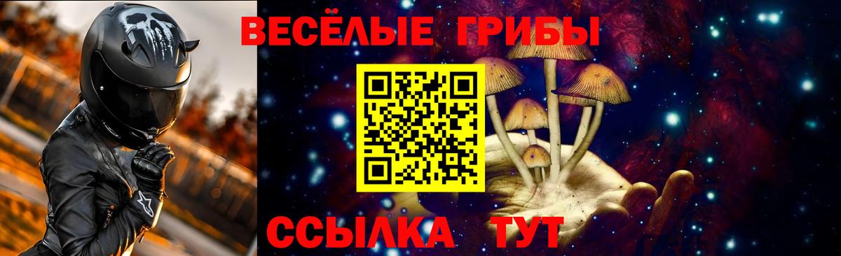 Галлюциногенные грибы Невинномысск
